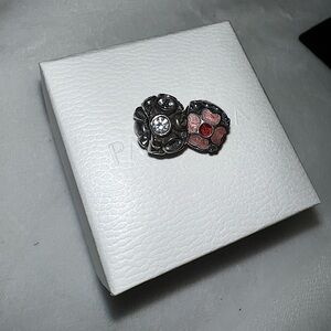 Bundle of Pandora Charms